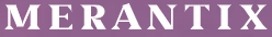 Merantix Logo